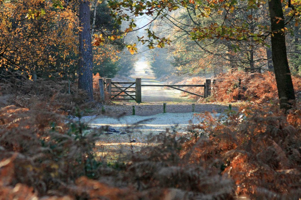 A haven for a huge variety of animal and plant-life