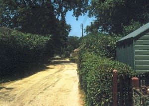 Wainsford Road Looking North 1972